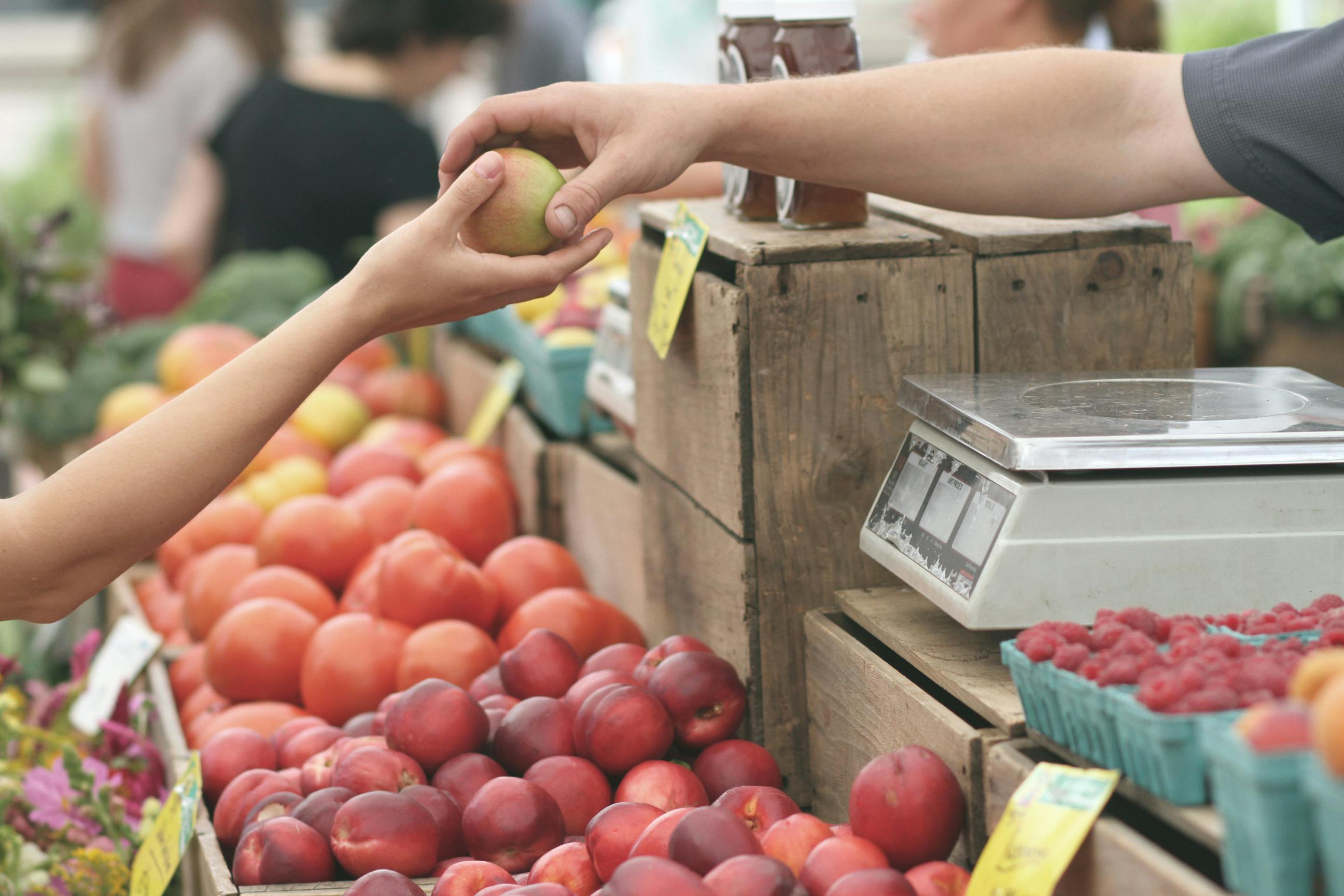 Продажа цифровых продуктов как источник пассивного дохода