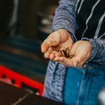 Инвестиции в акции: как вырастить портфель за 10 лет?